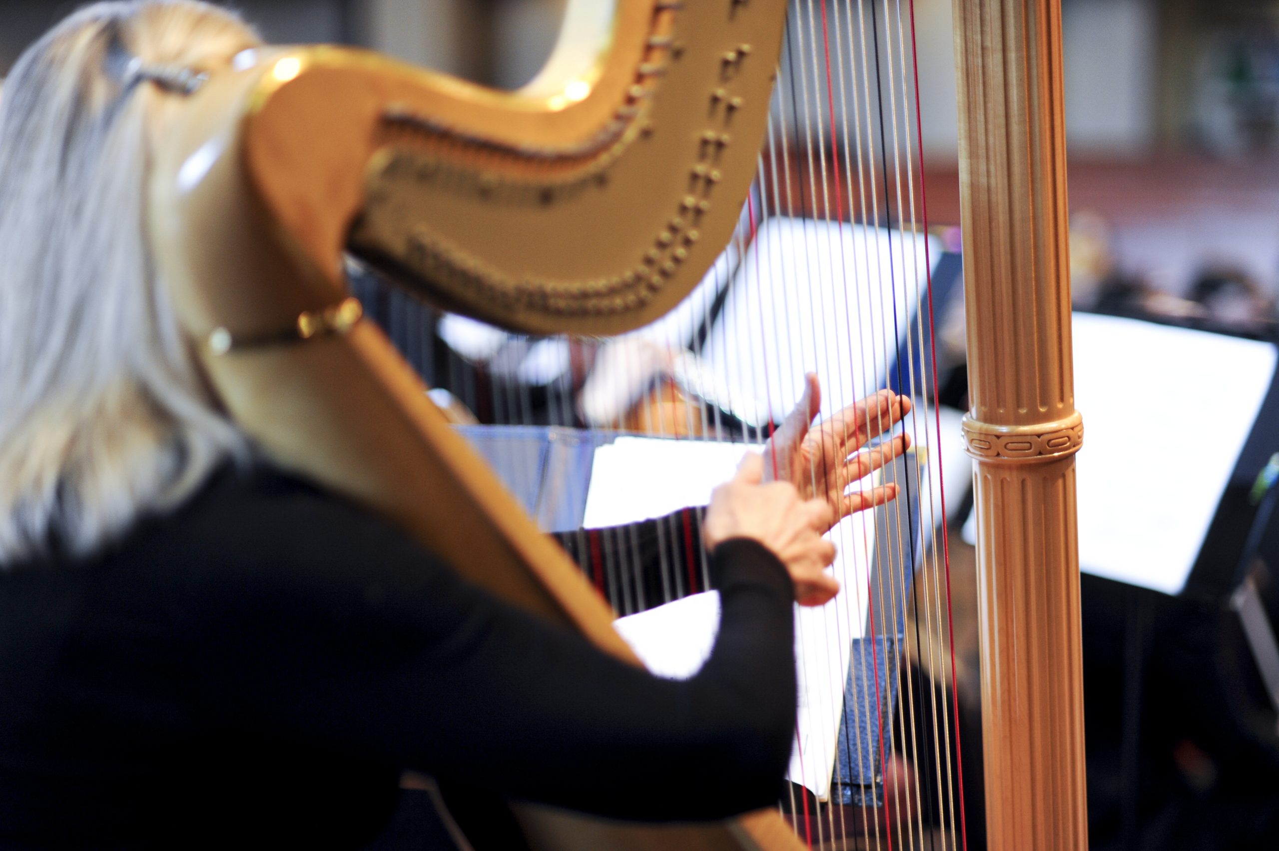 A light colored wooden harp rests on the shoulder of a blond haired woman who we see from the back.