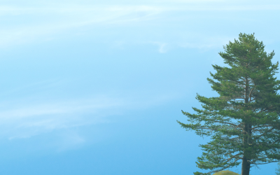 Marko’s Musing: Sky-Tinted Water